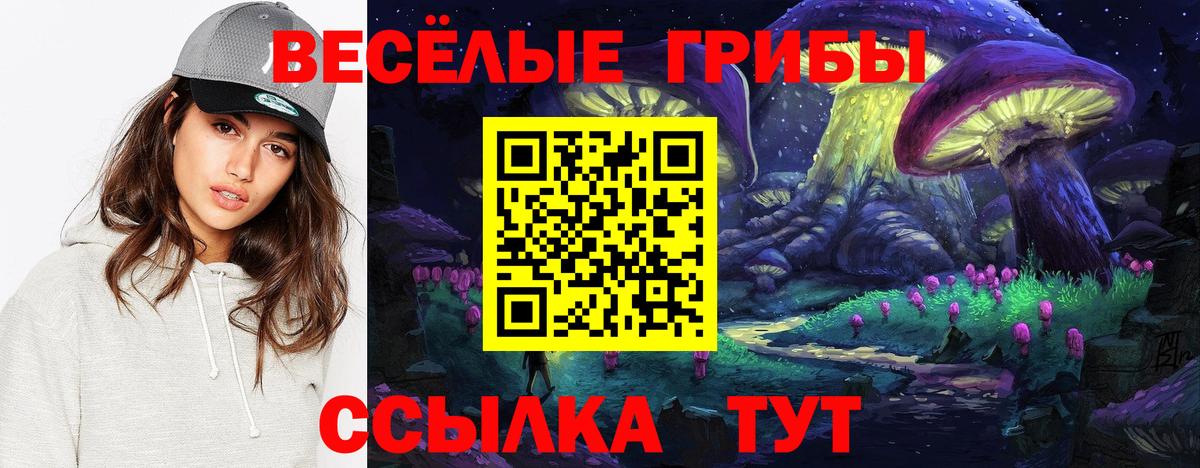 Псилоцибиновые грибы мухоморы Кузнецк